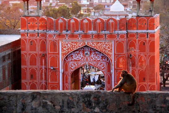 Tour image 8